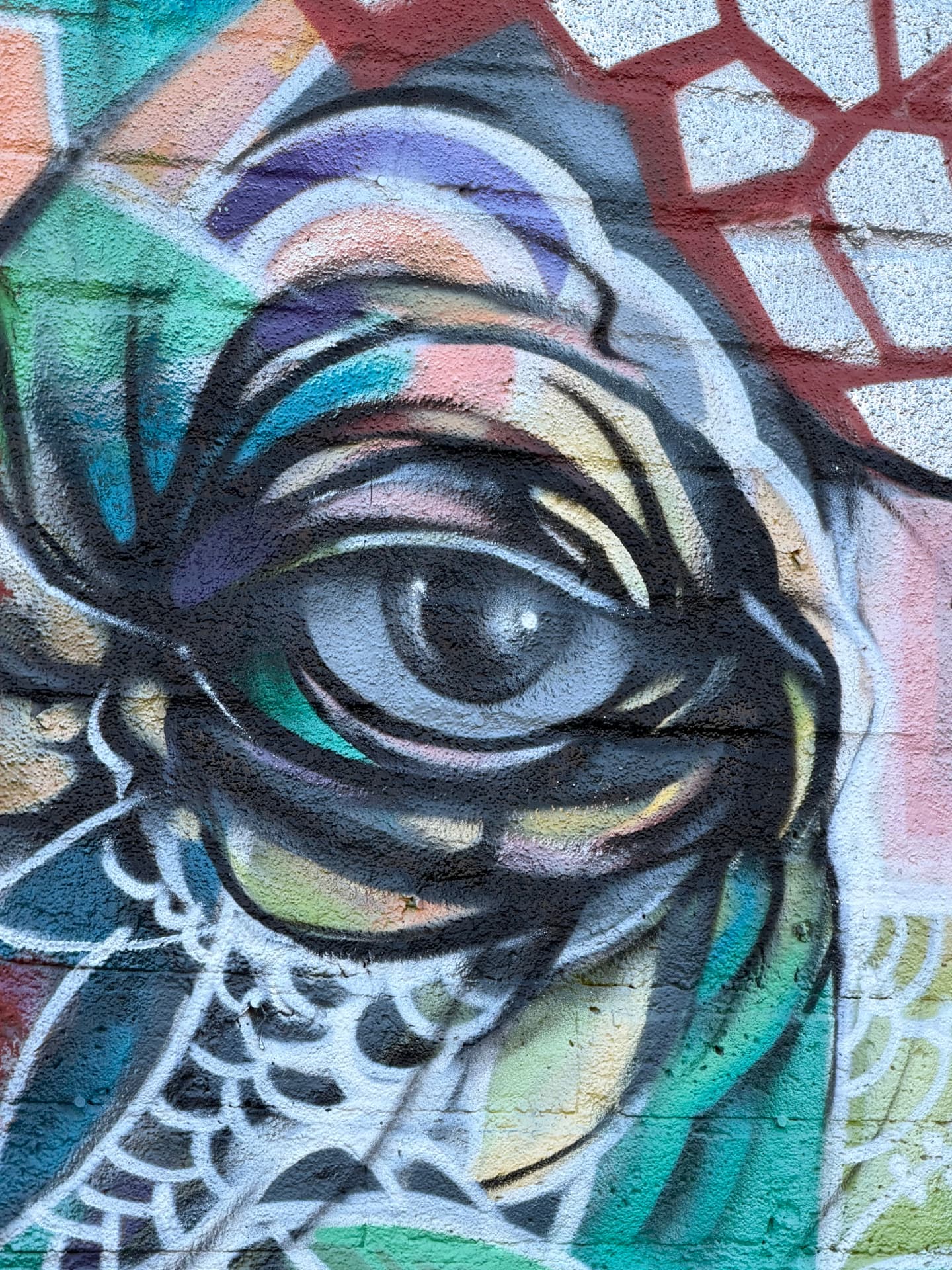 An Eye Full of Colour