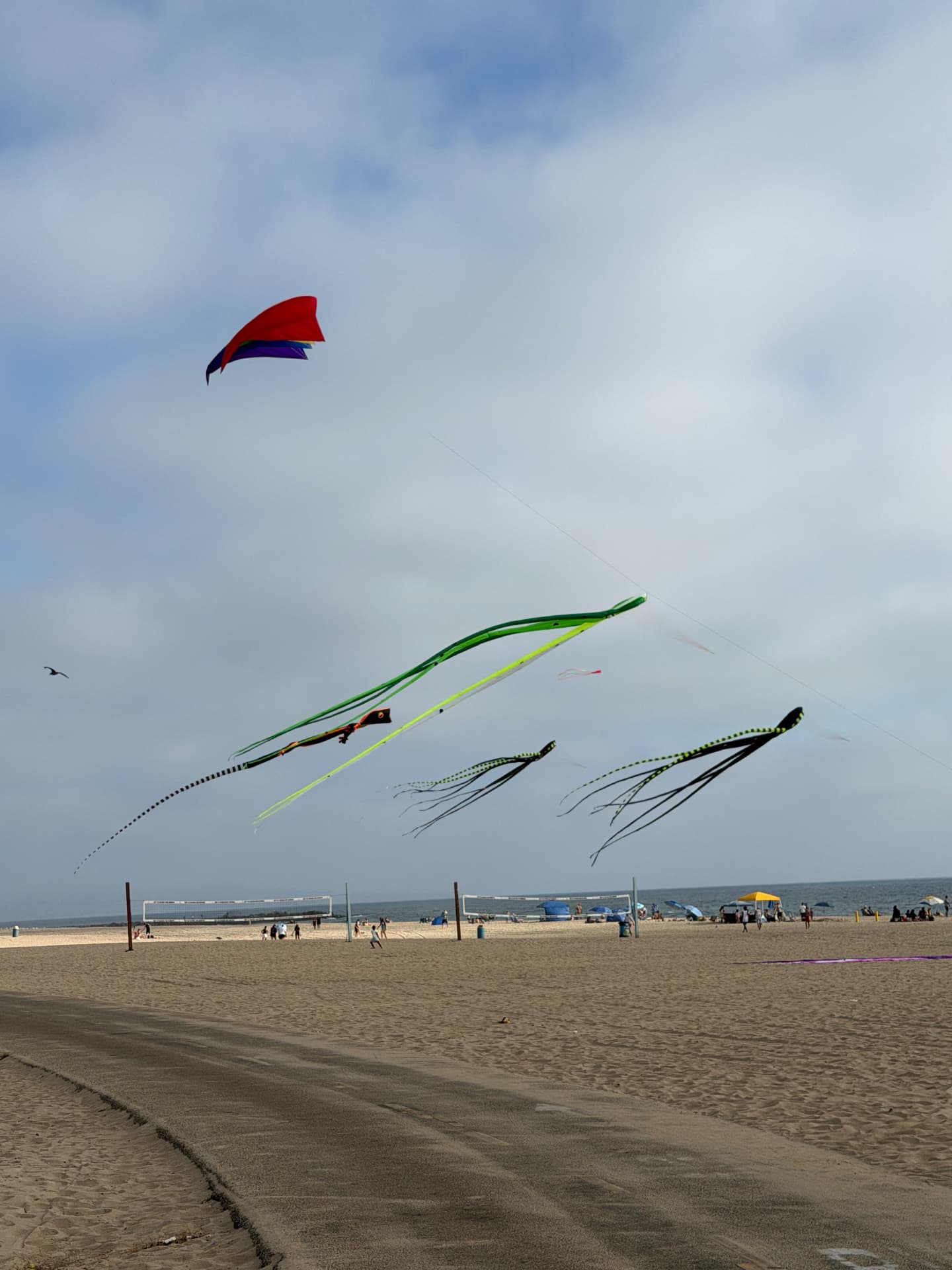 Colour on the Wind