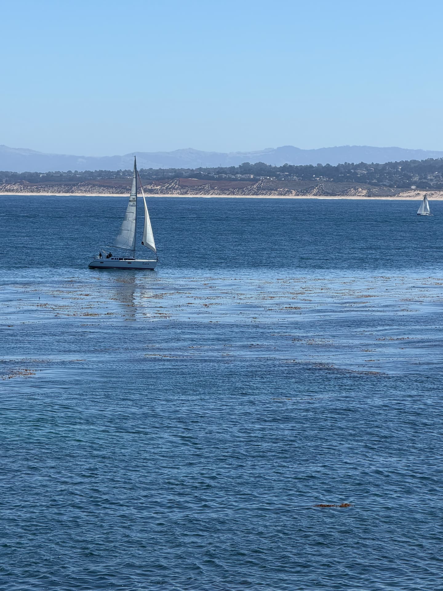 Sails on Blue Water